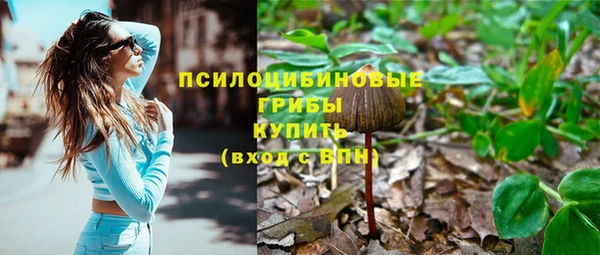 прущие грибы Приозерск