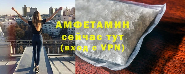 прущие грибы Приозерск