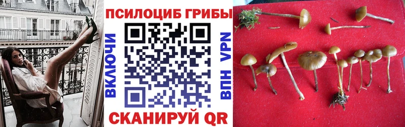 Галлюциногенные грибы ЛСД  Канск 