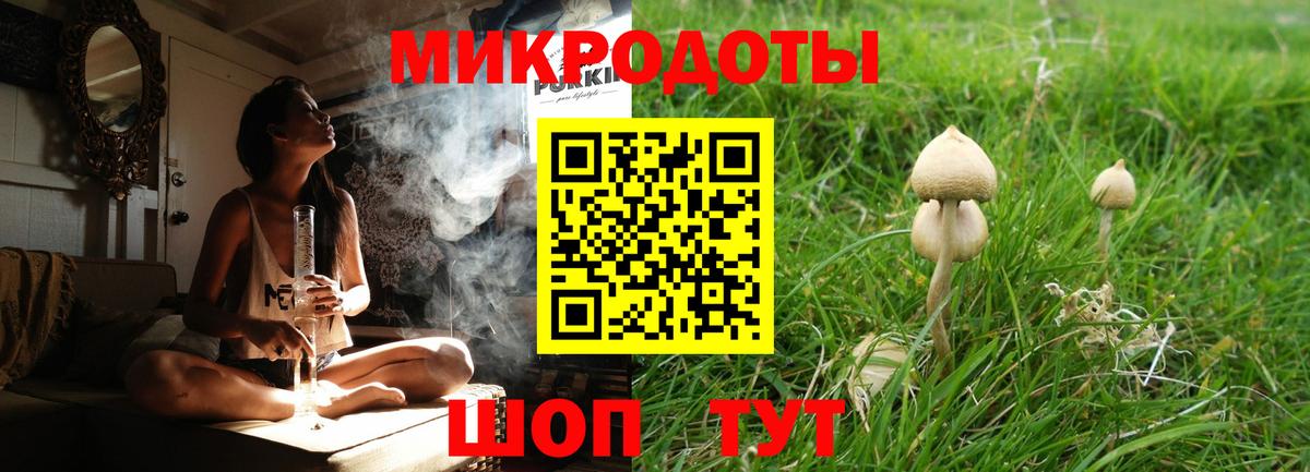 Галлюциногенные грибы Psilocybine cubensis Канск