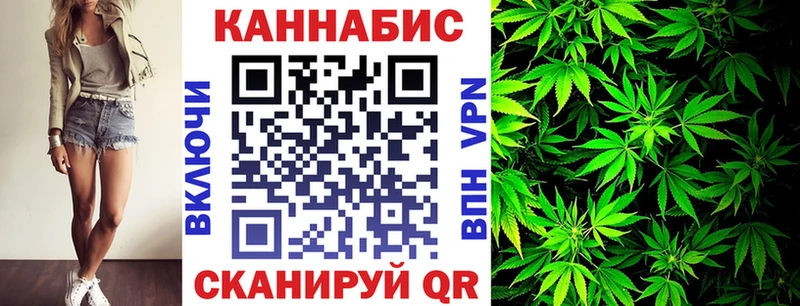 Каннабис сатива Канск